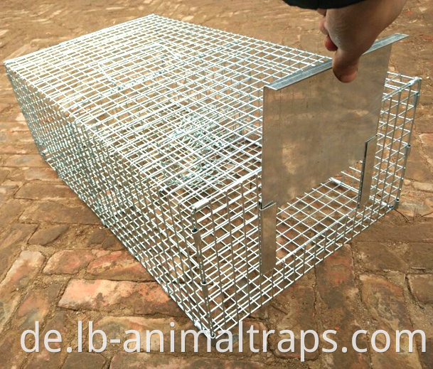 Repeating Control Trap Wire Cage